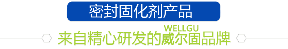 威尔固混凝土密封固化剂产品